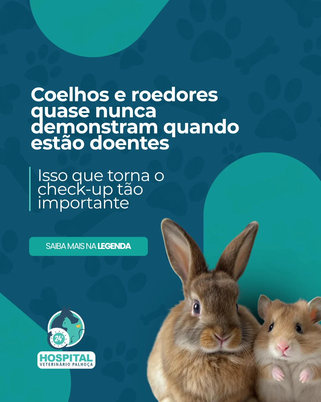 Post sobre check-up de coelhos e roedores para o Hospital Veterinário Palhoça